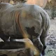 ����� ����� ������ ���� �����������