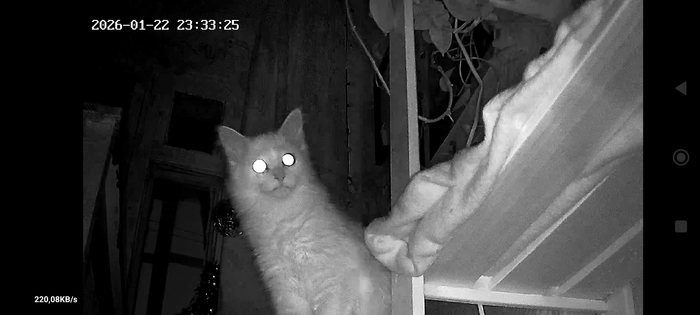 ��� ��� ��� ���������� �����