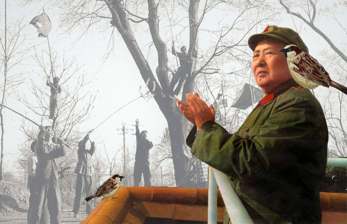 ������ ����!