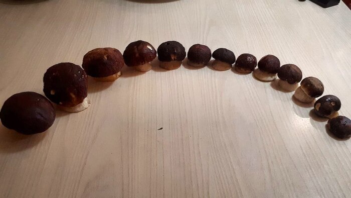 ���������!