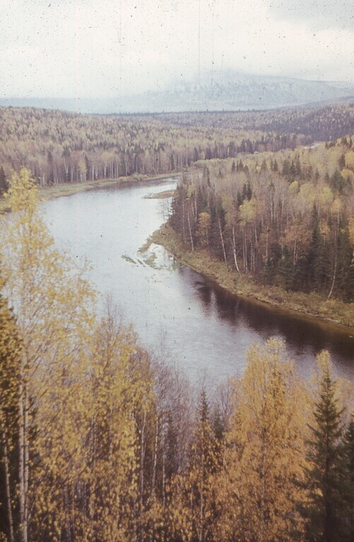 ����� ������, ������ ��� ������ �������.