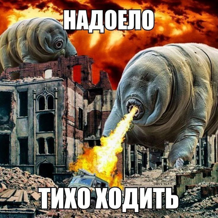 ��� ���������� ������������