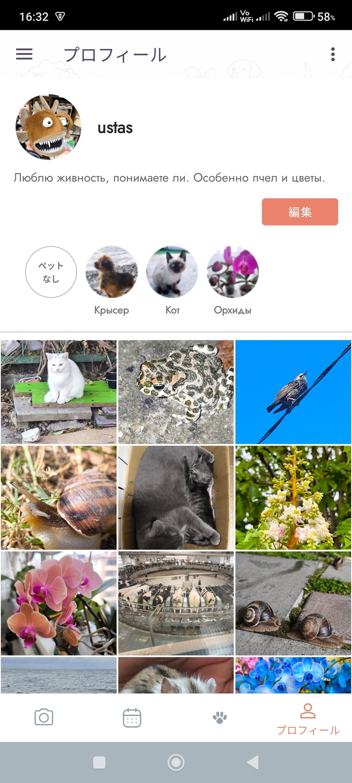 ��������� ������������� �� �����, 13. 