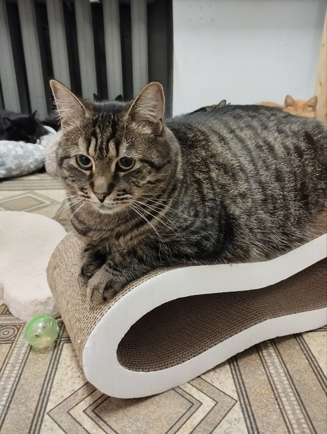 ���� � ������