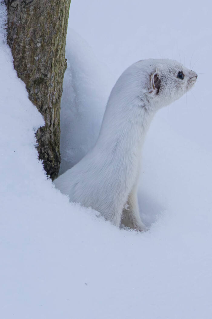 (Жмем на фото для лучшего качества)
