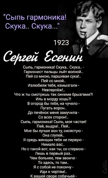 ������ �� ���� �������