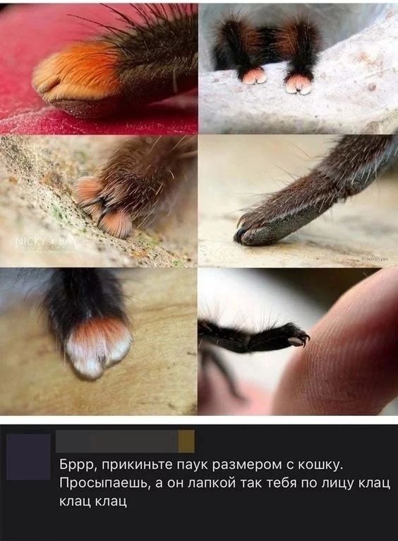 � ������� ���� ���� ��������� �����