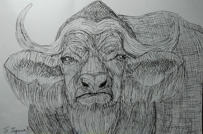 ����������� ������