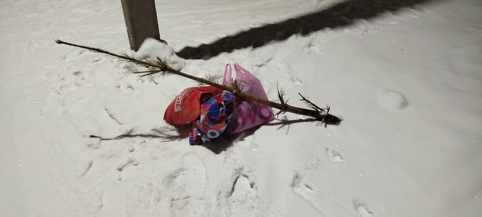 ��� �������