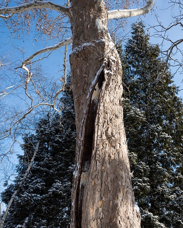 ������ ������� ������������� �� ���������, ����� ������ ��� �������� ��������. ��� ������� ���������� ��������� ���������������.