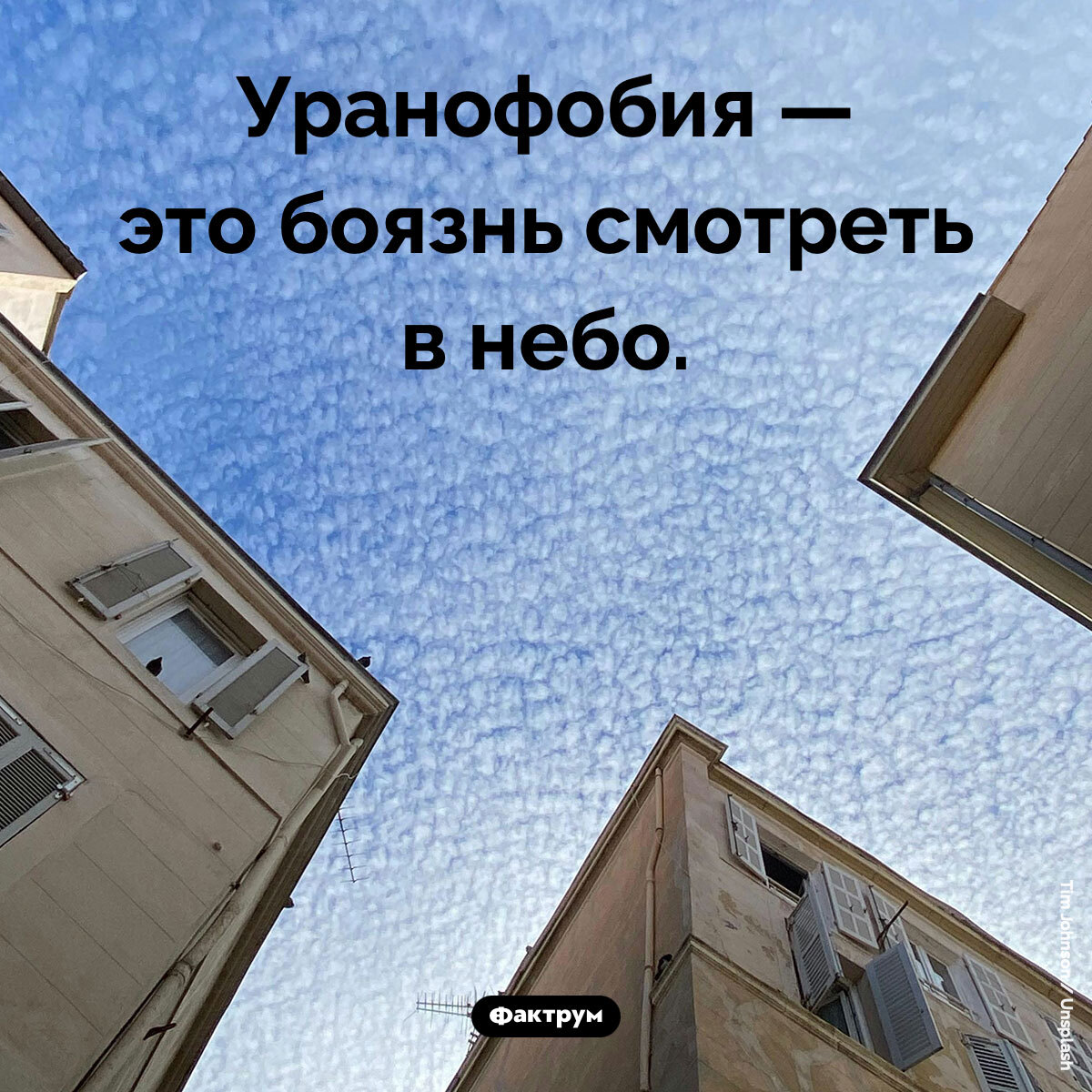 Подборка интересных фактов № 229 - Моё, Картинка с текстом, Познавательно, Подборка, Факты, Фактрум, Хочу все знать