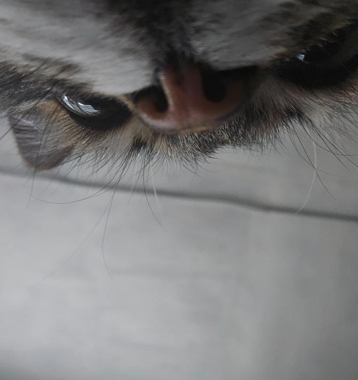 Доброго утречка,