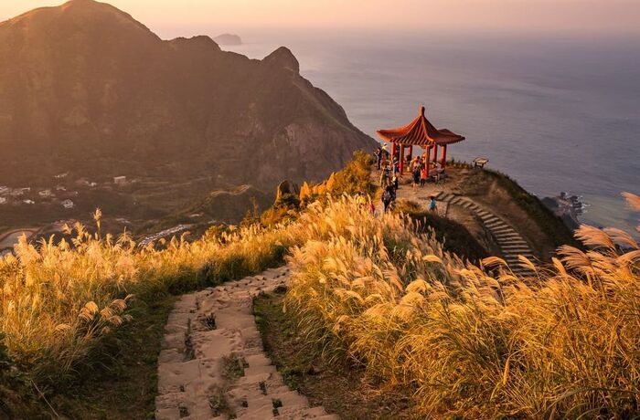 ������������ ��������� ���� �������