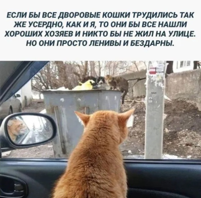 ��� ���� ������������ ��������� ������