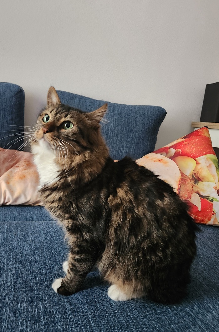 ���������� ������� #181