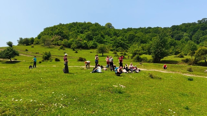 зеленые луга между красной волей и галицыно, адлерский район