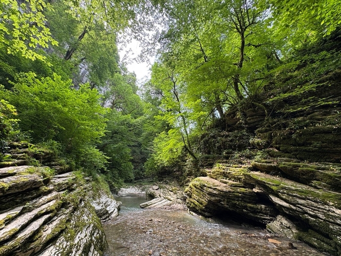 каньон псахо