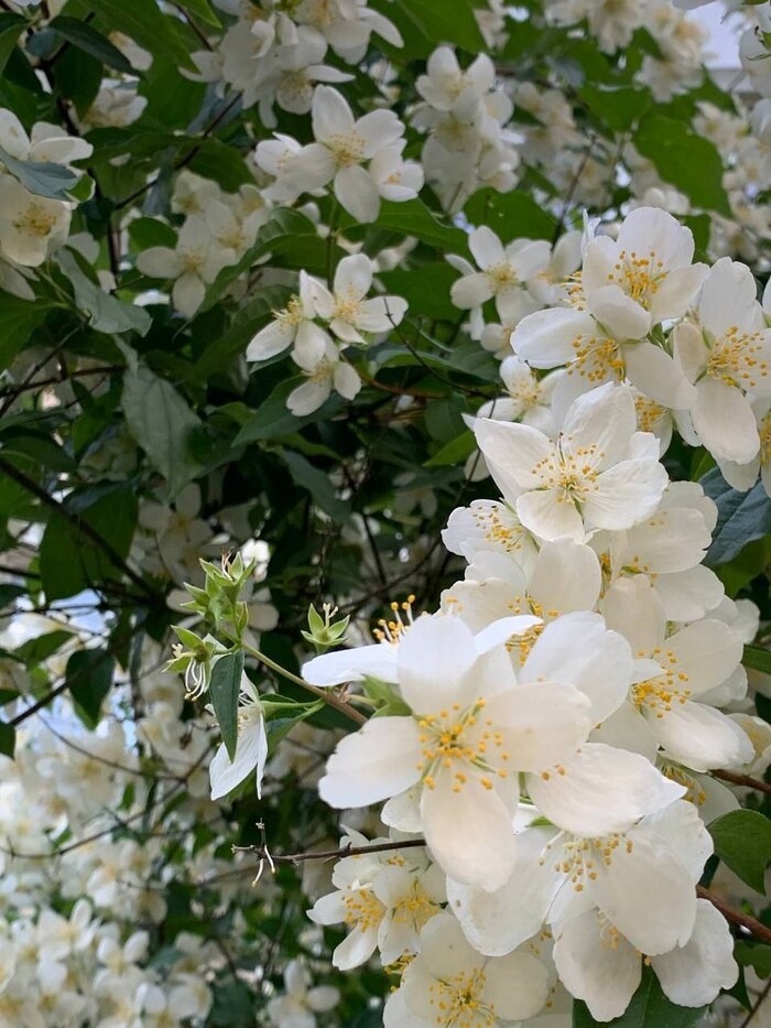 166 ���� ������� #126