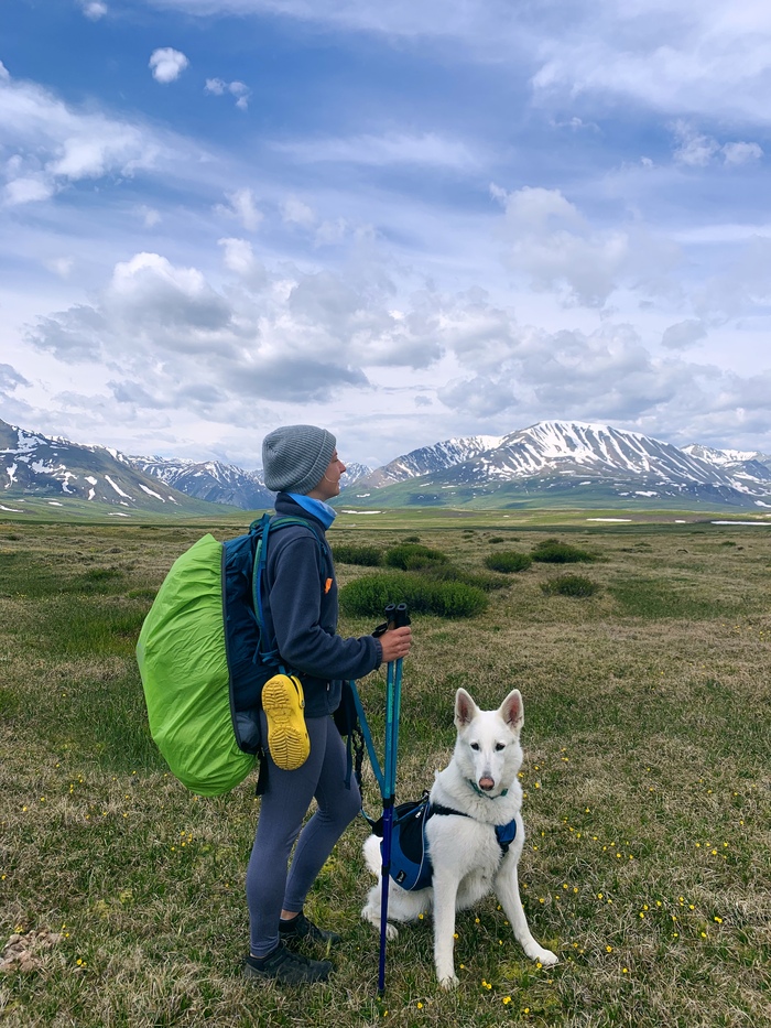 ����� ������� ������� ������������ � �����, ��� �� ����� ���������� �����. � ������ ������ ������������ �� ������� ������ � ��� �� �������������� ��� �������. 