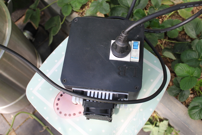 ���� �������