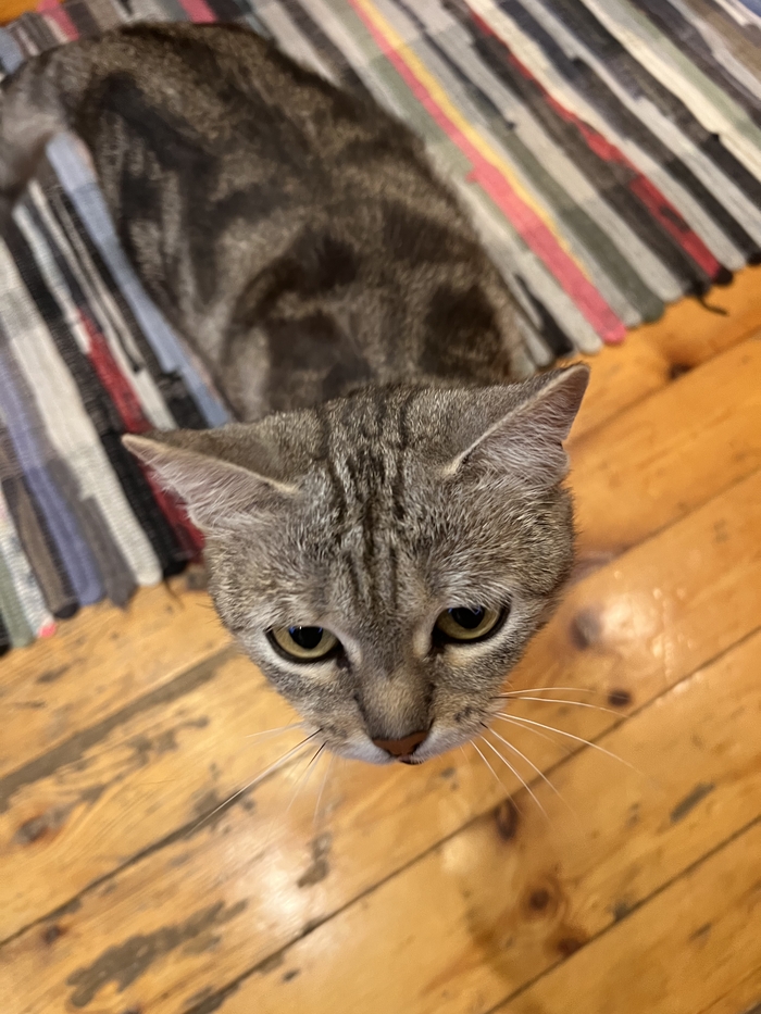 ����� �� ���� �� ���� ������� �� ���� ����