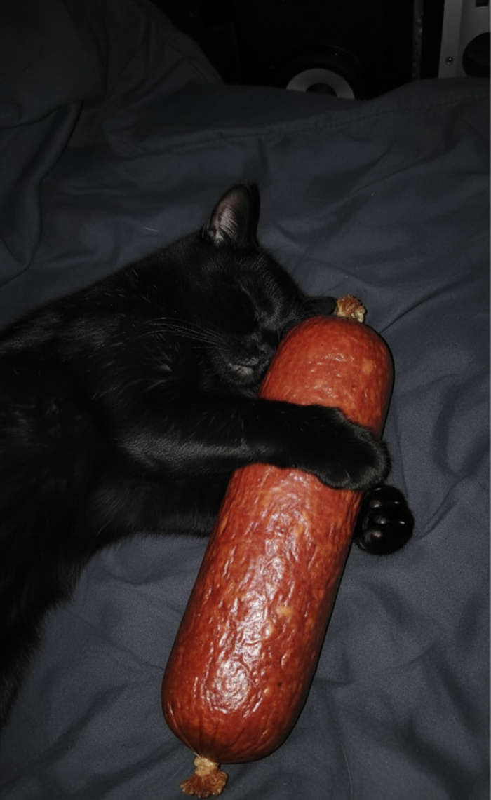 ���� ���� � �������� � � ������ ��������