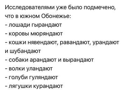 В южном Обонежье (Онежское озеро) — своя атмосфера, и им норм