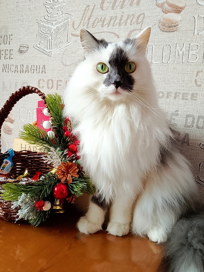 Зося, сибирская дворянка