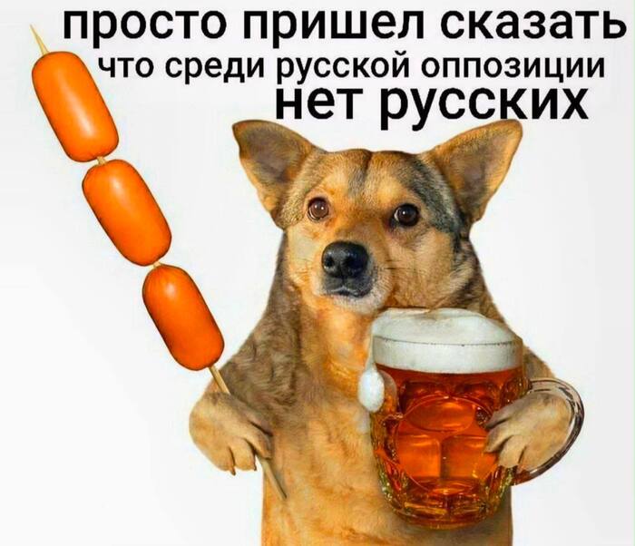 ������, ��