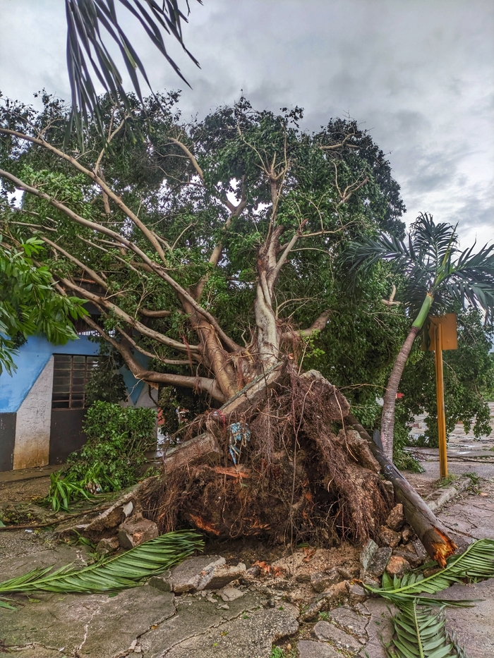 ����������� �������.