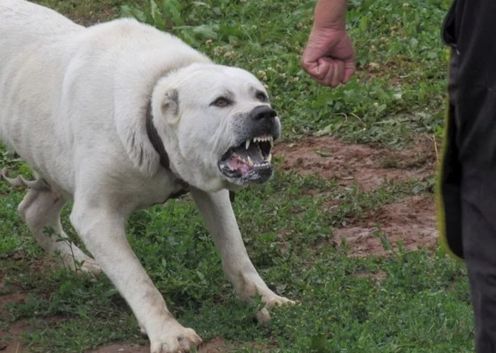 ������ ��� ���������� ������ ������ � ��������� ��������� ���� �� 330 �����