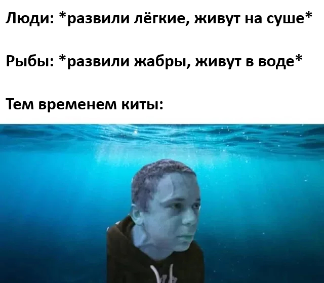 �� ����, �� ����