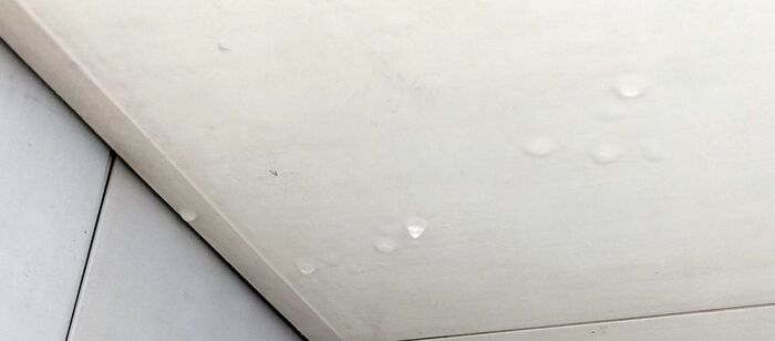 ���� ��������� ������ ����������