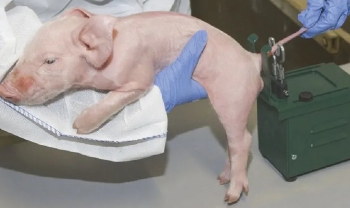 ������ ����� ������ ��-��...