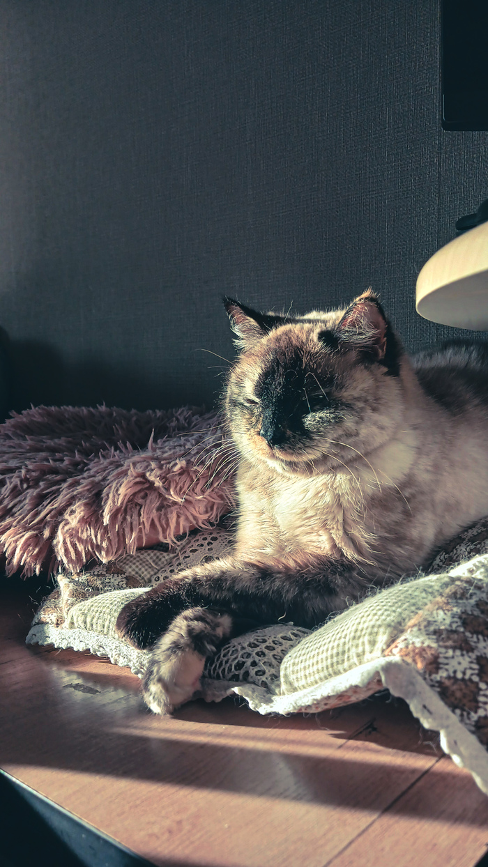 ��� ��� �� �������� ��� �����, ��� ��...