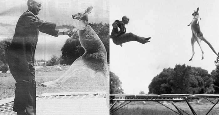 Джордж Ниссен