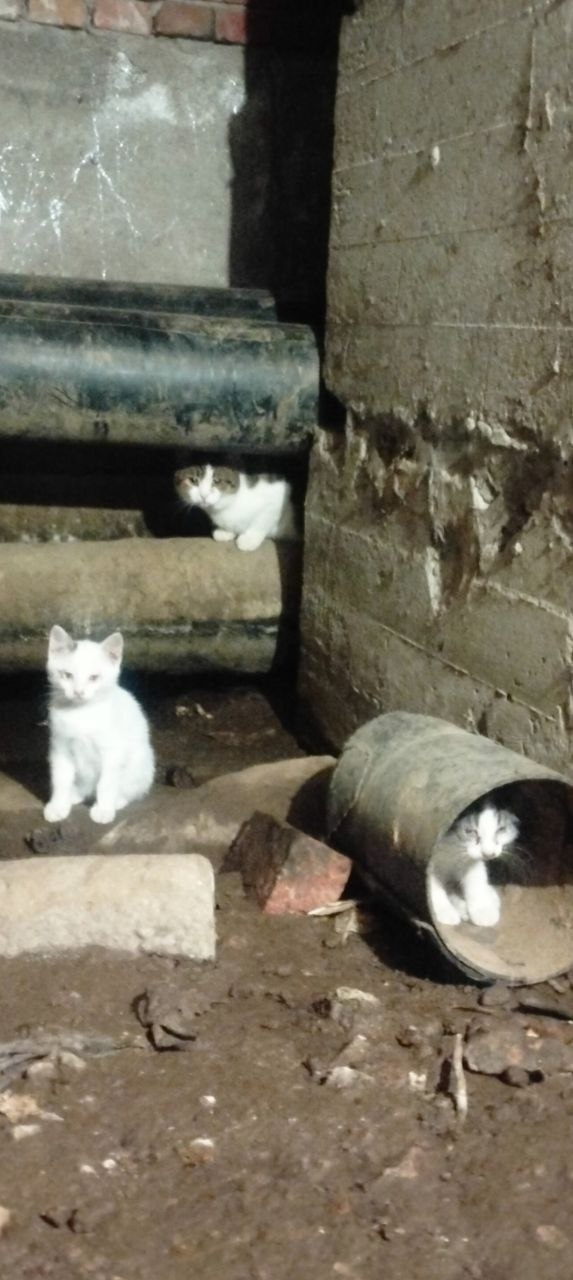 ����� ������� ����� � ����� ��������� �����