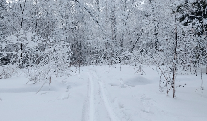 �������� ��������