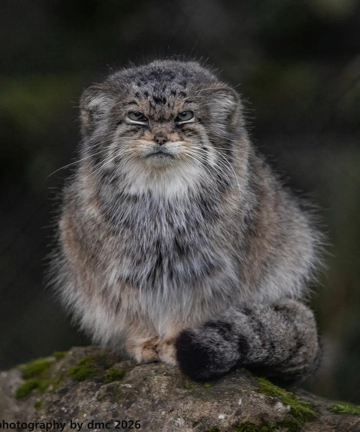 ����� ����� ����������?!