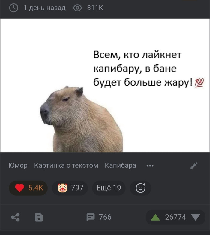 �� ���� ���)