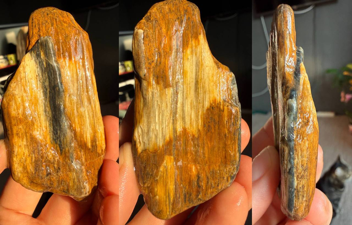 Закварцованный кусочек дерева с кварцем с трещине.