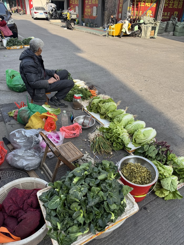 Много видов зелени