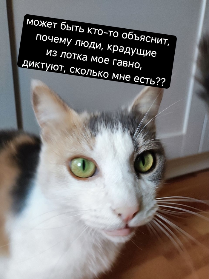 �� �� ��� ���������� ��������