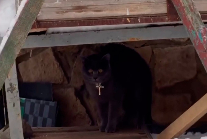 �������, ������� �� ���������...