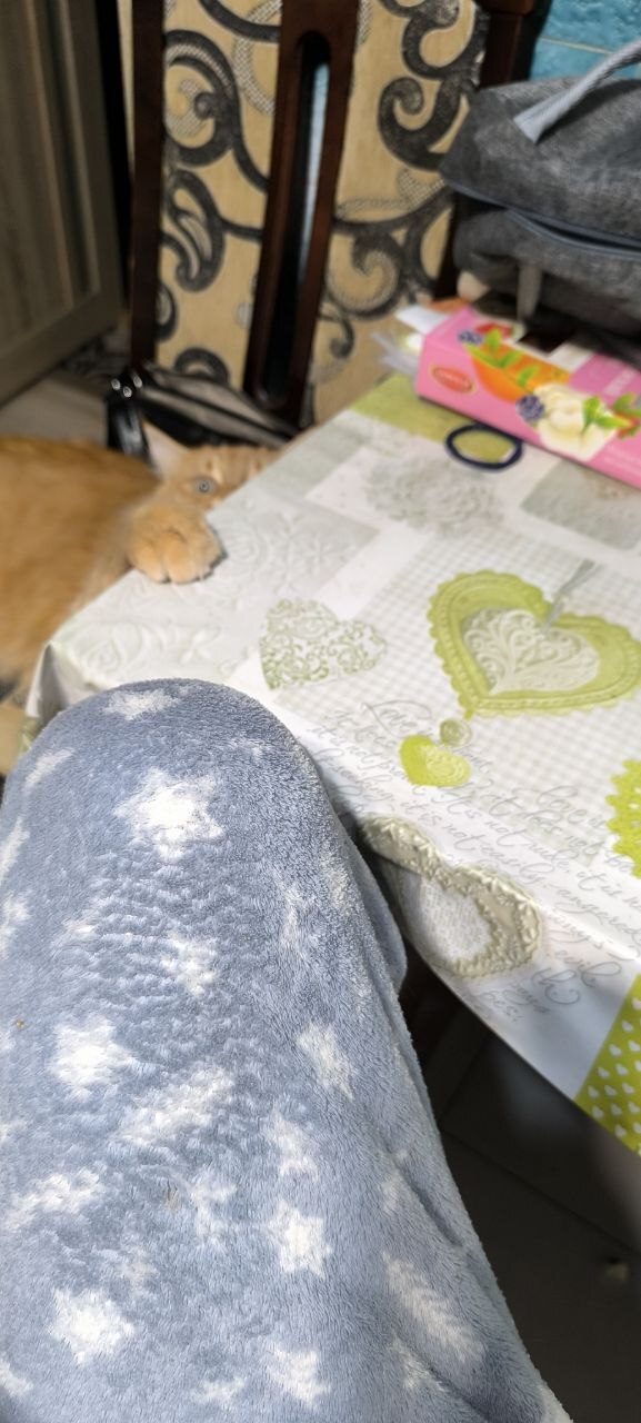 �� ��������� ���� ��������