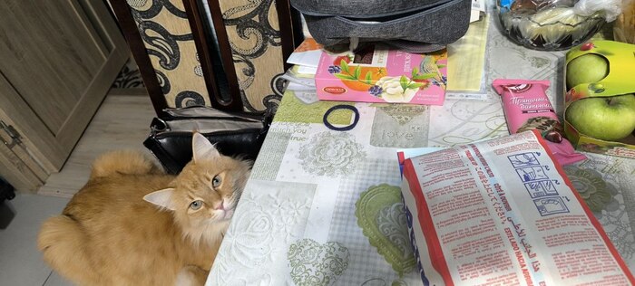 ������, ���, ����� �� ��� �����.