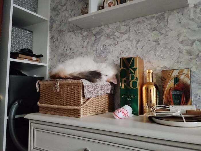 Грустная утка