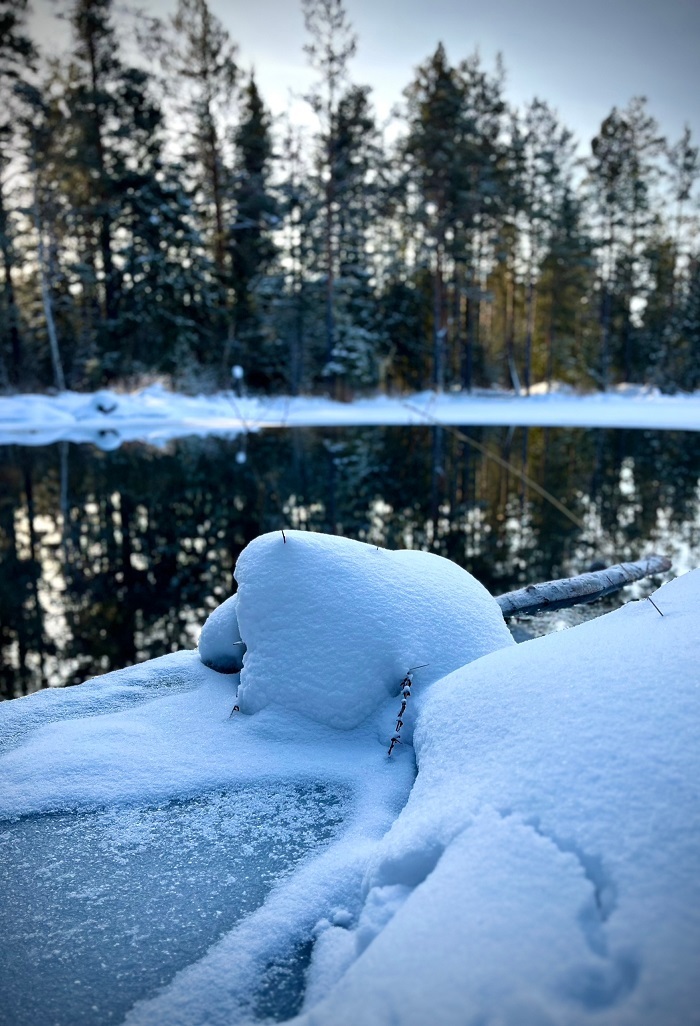 ��������������������� ������������ �������: ����� ������ (���������). ����: ����� ���������