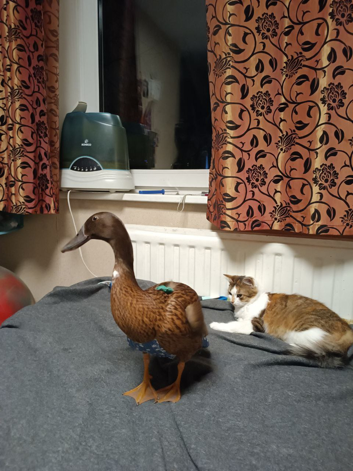 ���� �� ����� ���� � ����� �������