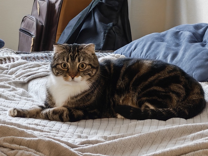 ������ �������� �����.